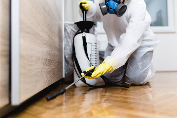 Best Residential Pest Control  in Mount Pleasant, TN