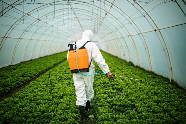 Pest Control for Restaurants in Mount Pleasant, TN