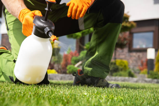 Best Cockroach Control Services  in Mount Pleasant, TN