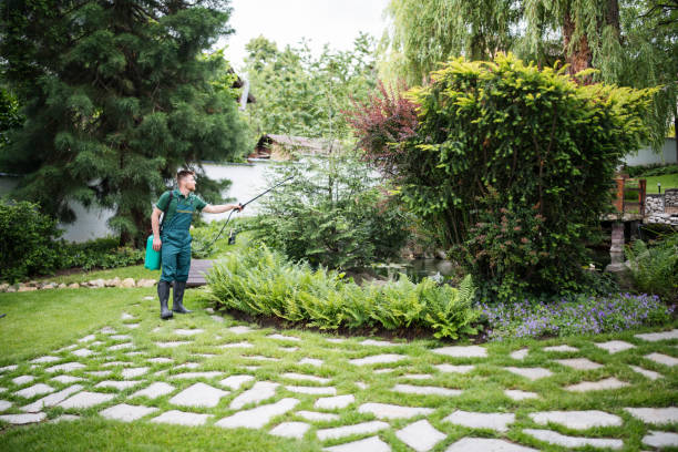 Reliable Mount Pleasant, TN Pest Control Solutions