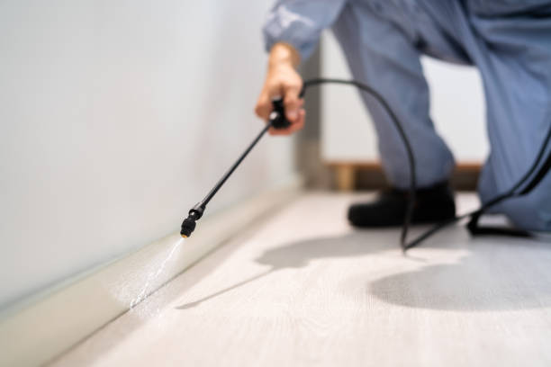 Best Wasp Removal Services  in Mount Pleasant, TN