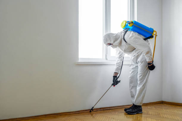 Best Pest Inspection Near Me  in Mount Pleasant, TN