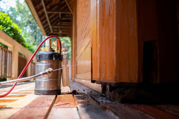 Best Rat Extermination Near Me  in Mount Pleasant, TN