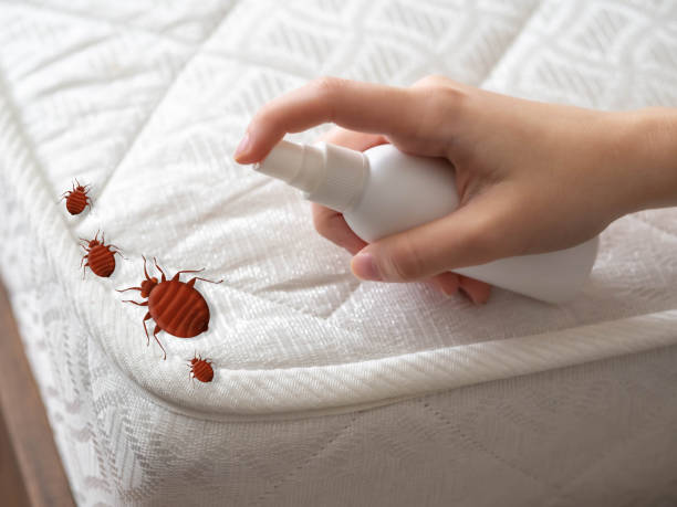 Best Emergency Pest Control  in Mount Pleasant, TN