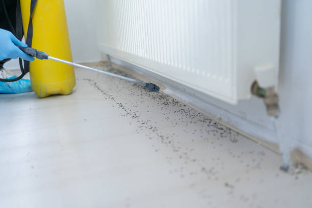 Best Best Pest Control Companies  in Mount Pleasant, TN
