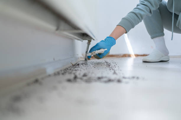 Best Pest Removal Services  in Mount Pleasant, TN